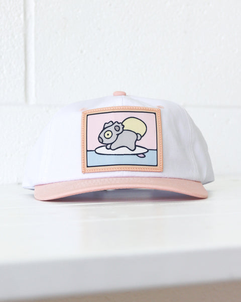 Surfing Koala Salmon Hat